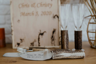 Set of wedding glasses. Rustic cake cutting set with deer horn